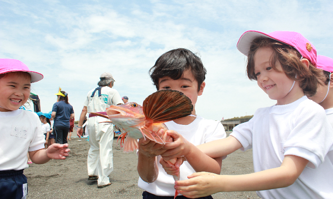 年長組地引網遠足(聖和学院幼稚園・聖和学院第二幼稚園)