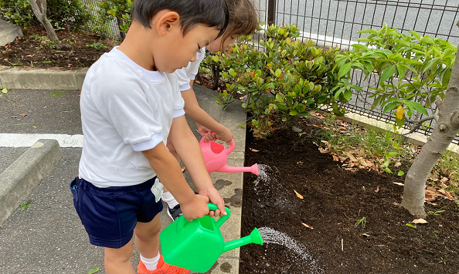 ヒマワリのタネまき（聖和学院第二幼稚園）