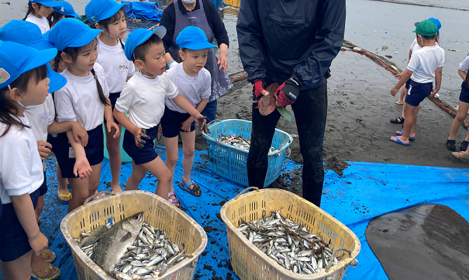 地引網遠足（聖和学院幼稚園・聖和学院第二幼稚園）