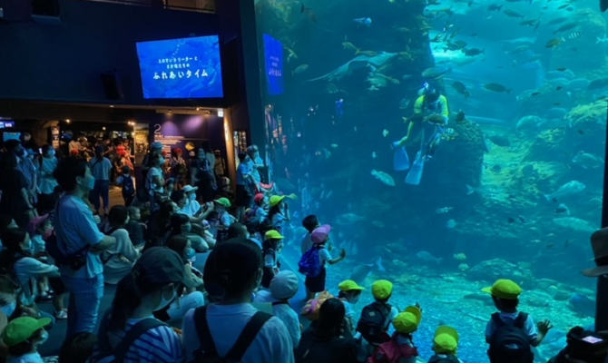 親子遠足【新江ノ島水族館】（聖和学院第二幼稚園）