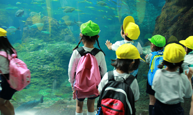 親子遠足【新江ノ島水族館】（聖和学院第二幼稚園）