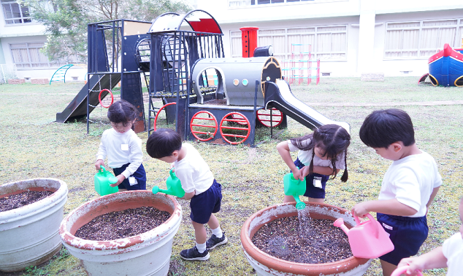 ヒマワリのタネまき（聖和学院幼稚園）