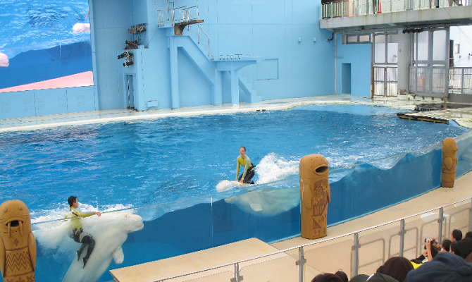 年少・年中組　親子遠足で横浜八景島シーパラダイスへ行きました(聖和学院幼稚園)