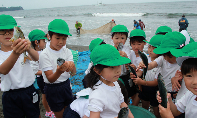 地引網遠足 (聖和学院幼稚園・聖和学院第二幼稚園)