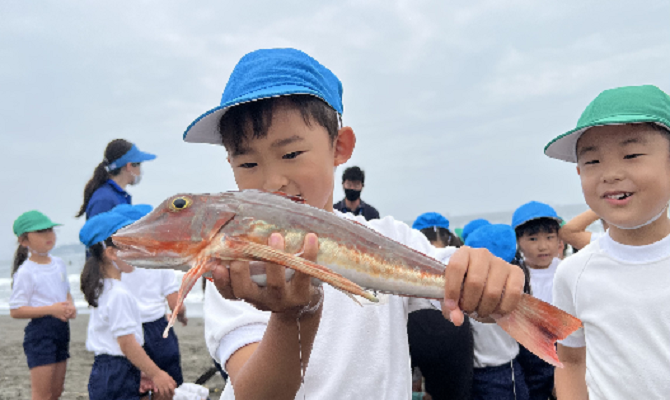 地引網遠足【辻堂海岸】（聖和学院幼稚園・聖和学院第二幼稚園）