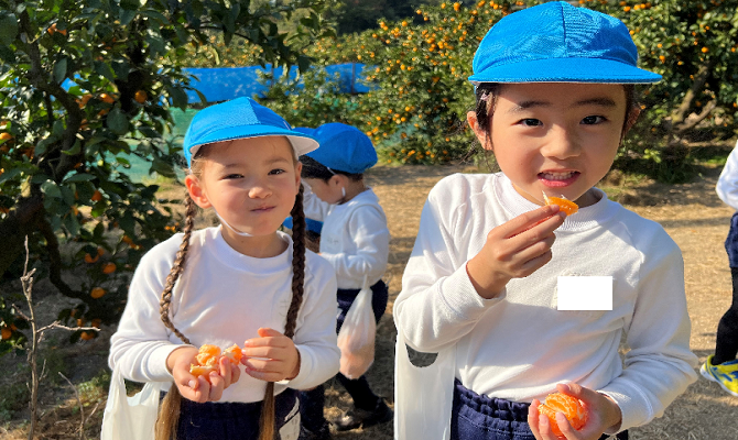 みかん狩り遠足（聖和学院幼稚園）