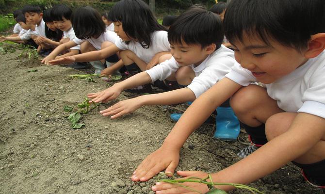 自然教室 苗植え・種まき（聖和学院幼稚園・聖和学院第二幼稚園）