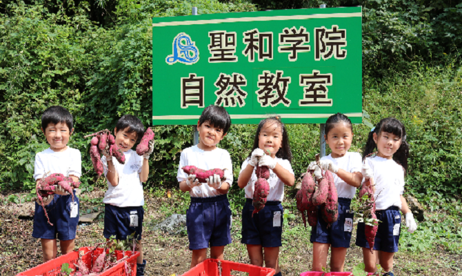 おいもほり (聖和学院幼稚園・聖和学院第二幼稚園)