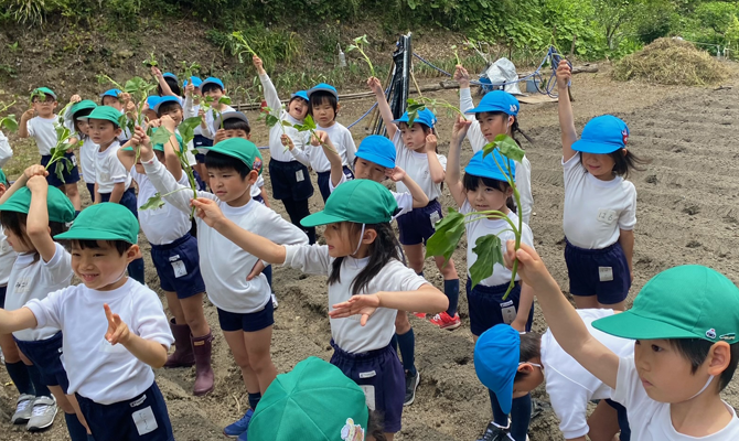 サツマイモ苗植え（聖和学院幼稚園・聖和学院第二幼稚園年長組）