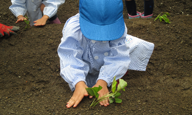 聖和学院自然教室(聖和学院幼稚園)